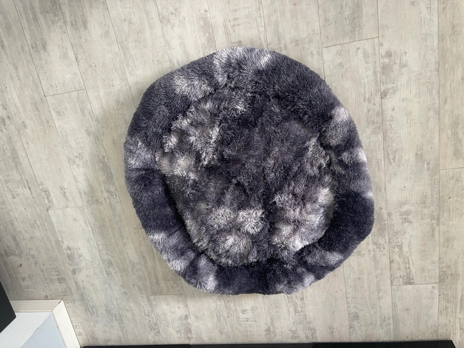 Donutmand voor honden – photo 4